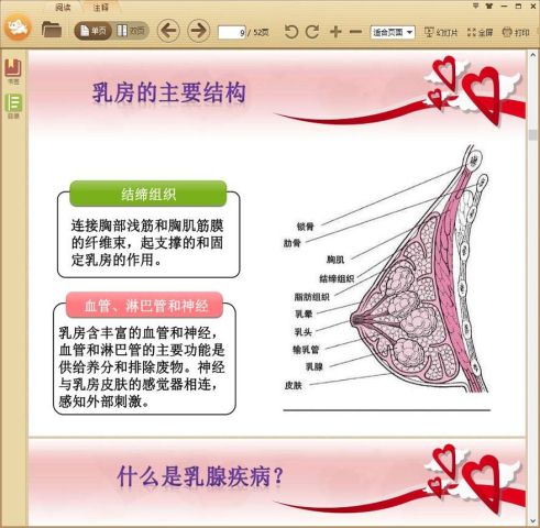 乳房保健